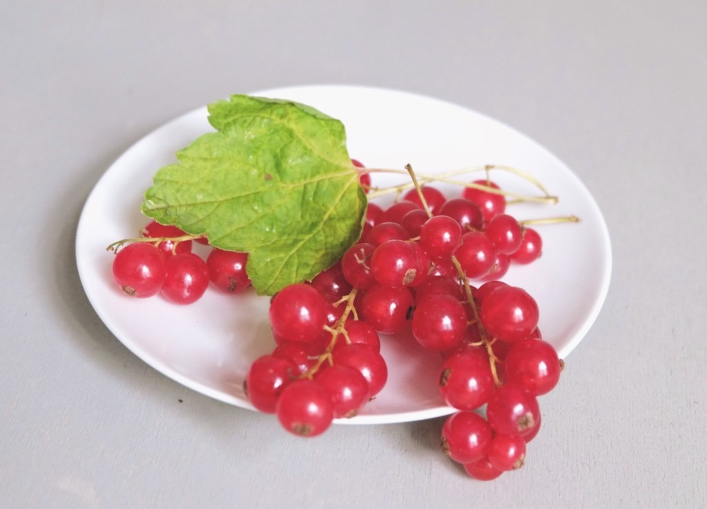 Johannesbeeren @ mehrpoweraufdauer.com